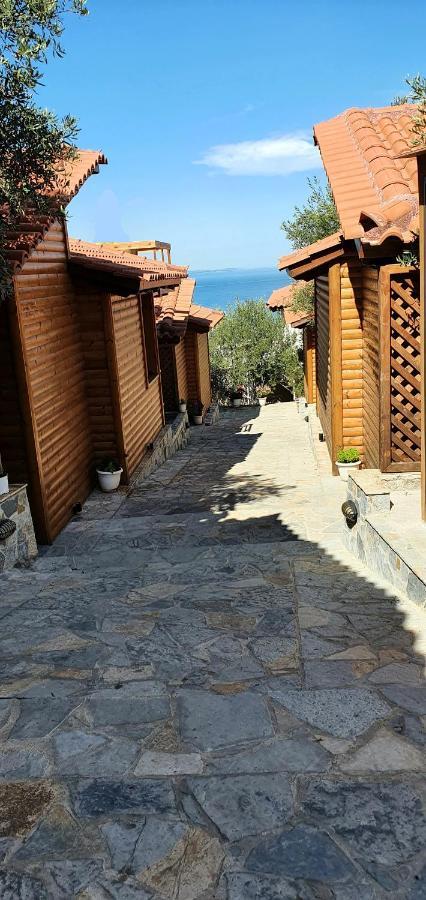 Skenderi * Saranda